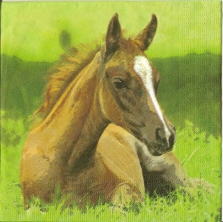 Třívrstvý ubrousek na decoupage - hříbě
