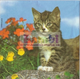 Třívrstvý ubrousek na decoupage - kotě